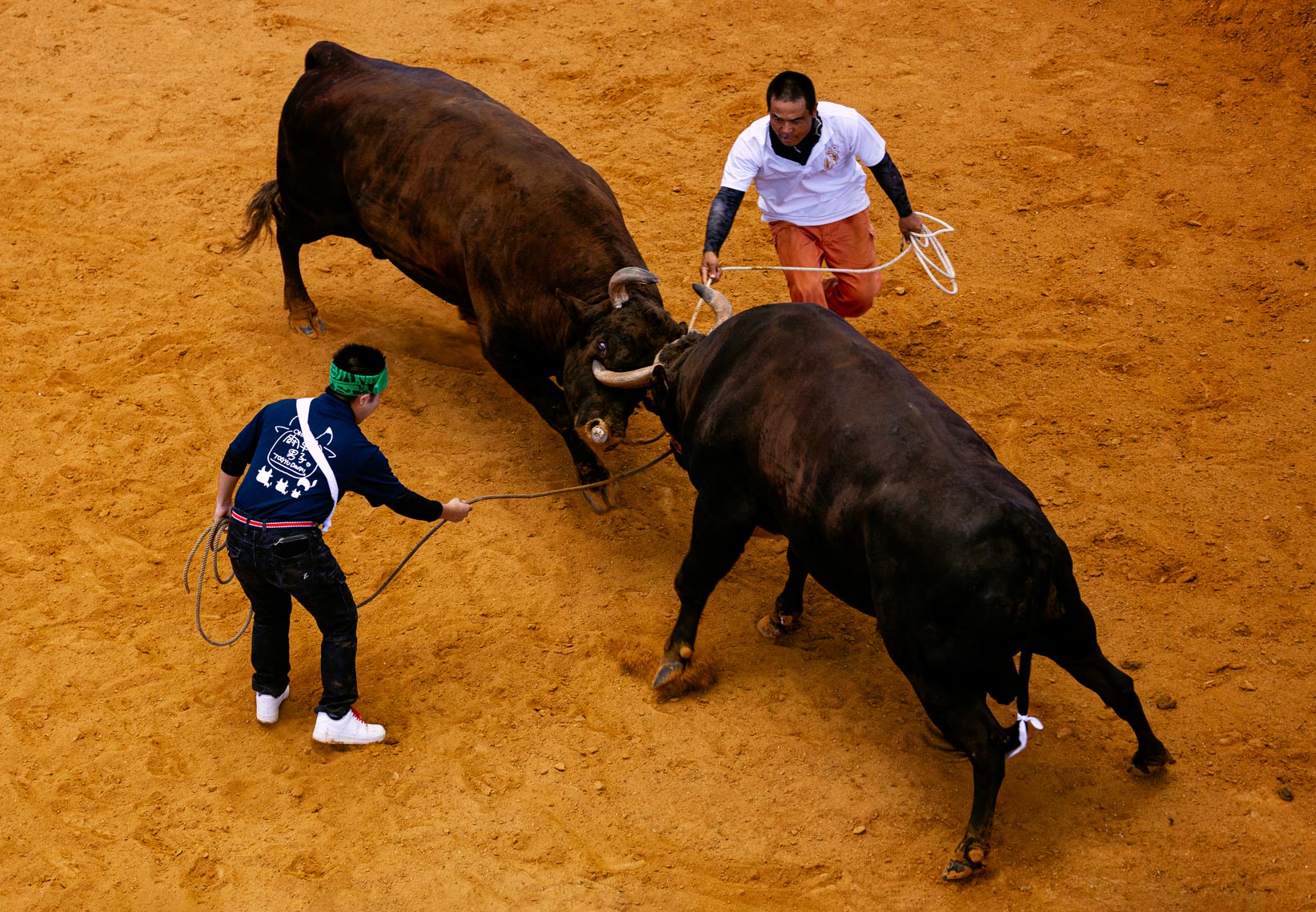 20190825_Bullfighting_587-Edit-2