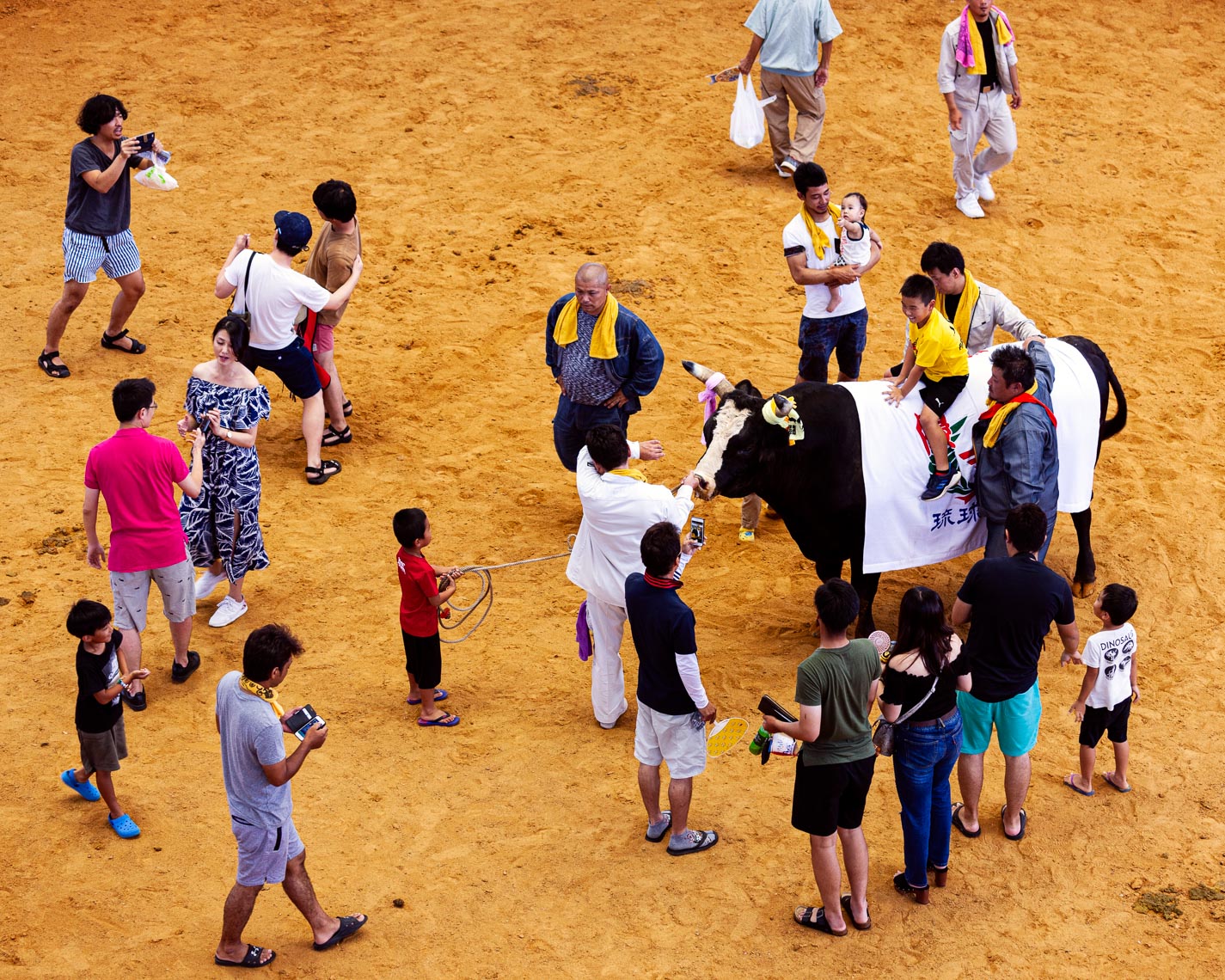 20190825_Bullfighting_658