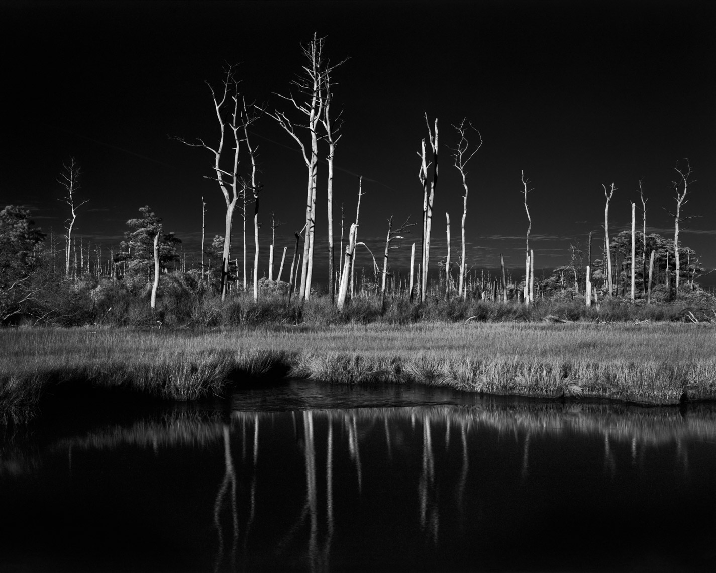 20211203_AssateagueIsland_Film_08