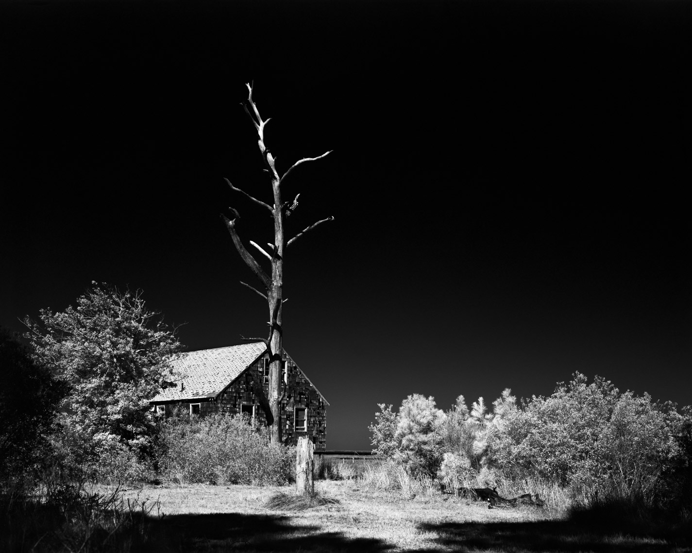 20220209_AssateagueIsland_Film_01
